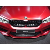 BMW G30 ÖN PANJUR BÖBREK ÇİFT ÇİZGİ 5 SERİSİ 2017-2020