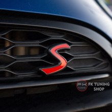 COOPER S LOGO METAL (PANJUR UYUMLU VİDALI