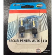 Mavi Açılış Animasyonlu T10 Beyaz Led Ampül 1 Çift (video tanıtımlı