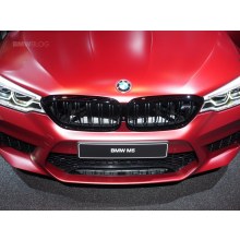 BMW G30 ÖN PANJUR BÖBREK ÇİFT ÇİZGİ 5 SERİSİ 2017-2020