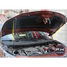 PEUGEOT 3008 KAPUT AMORTİSÖRÜ 