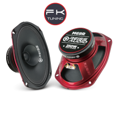 REİSS OVAL MİDRANGE HOPARLÖR 250W (RS-M69R) 
